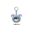 P16.webp