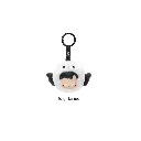 P15.webp